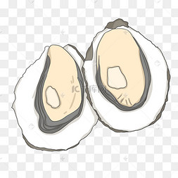 白色的海鲜生蚝插画