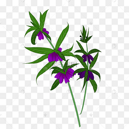 手绘凤仙花插画装饰下载 png下载psd手绘雏菊花瓣粉紫色飘落漂浮矢量