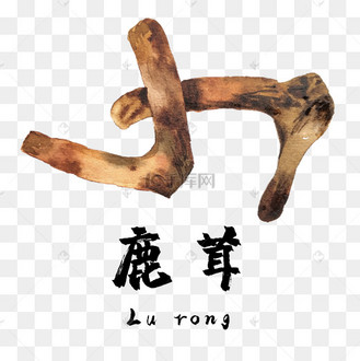 手绘彩色中药鹿茸装饰画