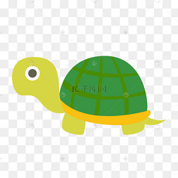 乌龟带猫
