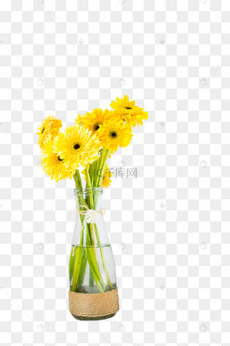 麻绳玻璃瓶里的弗朗花