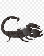 蝎子卡通图片 蝎子卡通图片素材免费下载 千库网