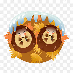 冬季冬眠的小刺猬