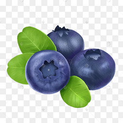 蓝莓水果手绘彩色零食美食蓝莓蓝莓水果蓝莓葡萄零食蓝色维生素蓝莓