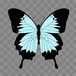 浅蓝色漂亮平面花蝴蝶psd免抠图