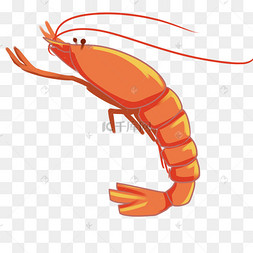 虾红虾仁海洋生物