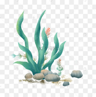 海底植物海藻元素插畫