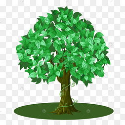 png下载psd手绘迎客松树枝树干透明底免抠下载 png下载psd手绘卡通