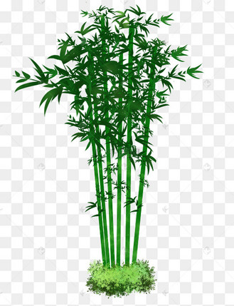手绘翠绿竹林