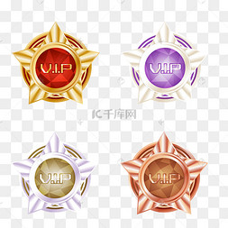 星标徽章vipcreated with snap正版游戏会员等级头像框正版下载 png