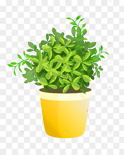 盆栽手绘