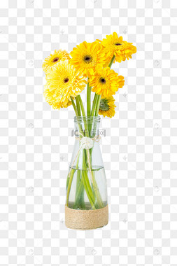 麻绳玻璃瓶里的弗朗花