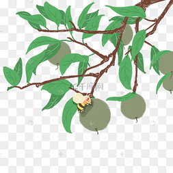 茶籽茶油图片-茶籽茶油图片素材免费下载-千库网