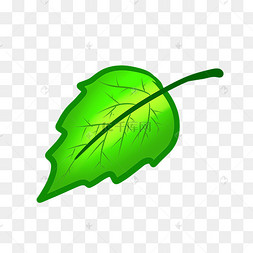 桑叶手绘图片-桑叶手绘图片素材免费下载-千库网