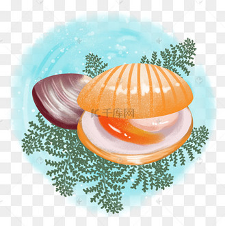 卡通手绘海鲜美食美味贝壳之大小扇贝