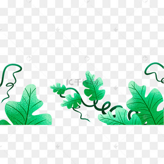 绿色植物西瓜藤叶子藤蔓