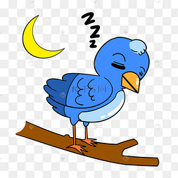 睡觉的小鸟
