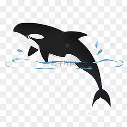 黑色虎鲸装饰
