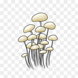 浅黄色卡通金针菇图案