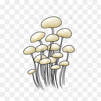 金针菇卡通图片_金针菇卡通设计图片素材大全-千库网