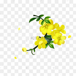 迎春花矢量素材下载