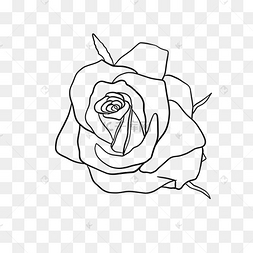 玫瑰花手绘黑白素材