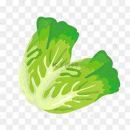 大白菜娃娃菜母亲节卡通母亲做饭png素材一颗大绿白菜插画卡通母亲和