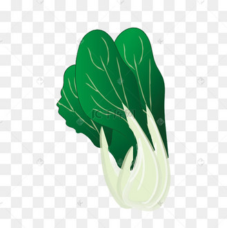 食物图片蔬菜矢量图油菜