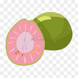 手绘春季水果芭乐插画