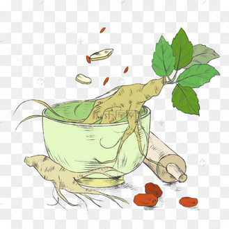 人参百草之王红色印章艺术字