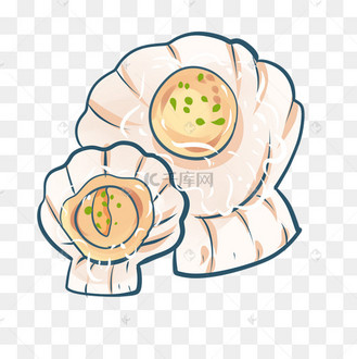 肉质生物扇贝粉丝