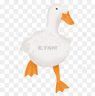 脚掌卡通图片_脚掌卡通设计图片素材大全-千库网