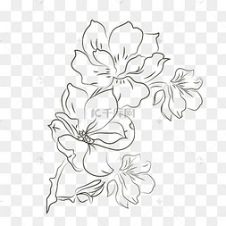 黑色线条花朵