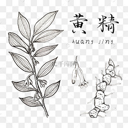 png下载psd手绘彩色中药方子装饰画下载 png下载psd中医中药养生相关