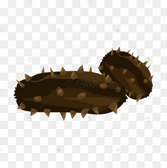 卡通海参图片_卡通海参设计图片素材大全-千库网