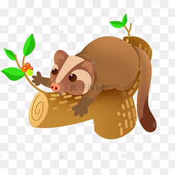 狸花猫野味动物果子狸狸花猫咪睡觉的阿狸卡通动物设计果子狸动物手绘