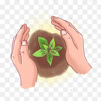 植树节手绘保护植物png免抠素材