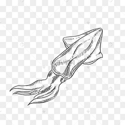 小墨鱼手绘黑白素材