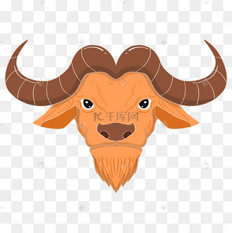 手绘橙色牛头插画