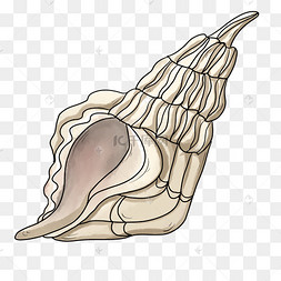 png下载psd卡通简约淡绿色手绘海螺下载 png下载psd创意黑白单色涂鸦