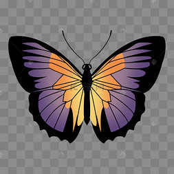 多彩炫丽手绘花纹蝴蝶psd免抠图