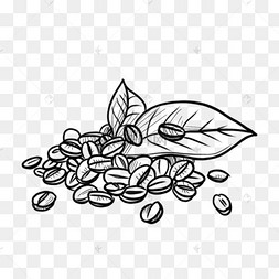 黑白线描咖啡豆插画元素