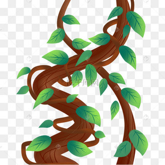 很粗的树藤