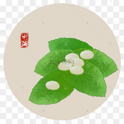 二十四节气小满养蚕白色蚕茧蚕壳蚕吃桑叶春蚕装饰图案绿色大胖蚕手绘