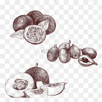 百香果手绘图片_百香果手绘设计图片素材大全-千库网