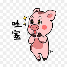 小猪哇塞表情包素材图片免费下载-千库网