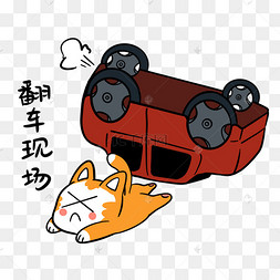 小狗翻车现场表情包