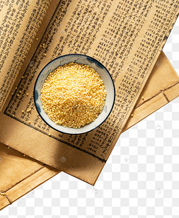 中国风五谷杂粮谷物小米黄米瓷碗