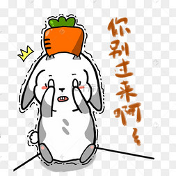 小兔子胡萝卜