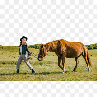 牵马图片_牵马设计图片素材大全-千库网